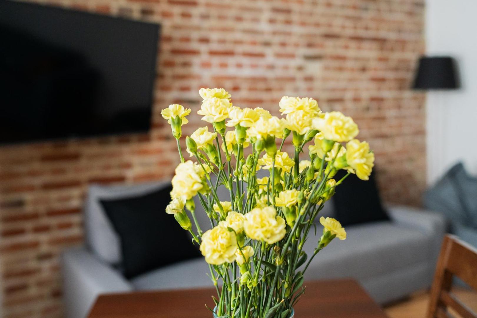 Big Apart - Nice Design - 3 Rooms - Wroclaw City Centre Экстерьер фото